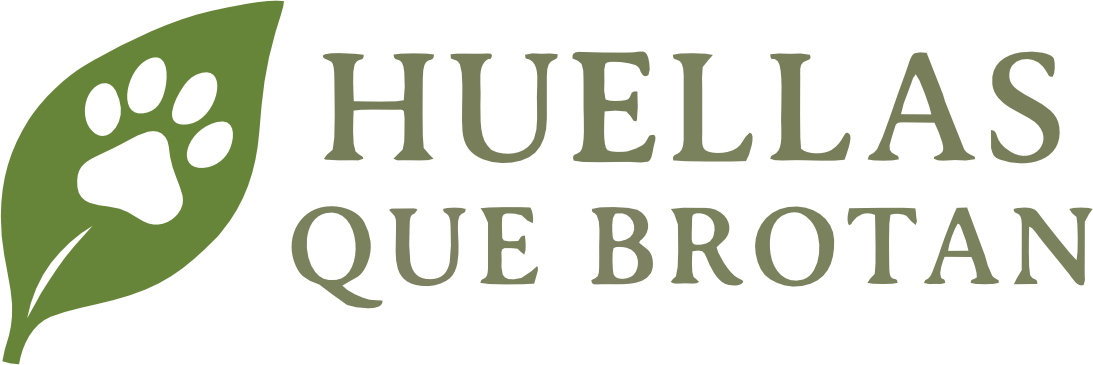 Huellas que Brotan